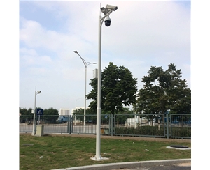 阿拉尔道路监控杆-LB-05